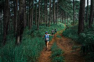 BIB: 
                            <button type="button" onclick="openModal(25659977)" class="btn btn-primary btn-sm float-right btn-popup" data-toggle="modal" data-target=".modal-high-quality">
                        <i class="fas fa-shopping-cart"></i> Add to Cart
                    </button>
                                            <button type="button" onclick="isThisMe(25659977, true)" class="btn btn-success btn-sm float-right btn-popup btn-isme hidden" data-toggle="tooltip" data-placement="bottom" title="นี่คือรูปของคุณใช่ไหม คลิกที่นี่เพื่อเอาเข้าอัลบั้ม">
                        <i class="fas fa-plus"></i> Add to album
                    </button>
                    <button type="button" onclick="isThisMe(25659977, false)" class="btn btn-warning btn-sm float-right btn-popup btn-isnotme hidden">
                        <i class="fas fa-ban"></i> Remove from album
                    </button>